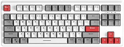 PLRG Retro Gaming mehanička tastatura, 80% RGB Hot-swap 2.4 G / Bluetooth/Wired za Windows Mac a-Blue Switch
