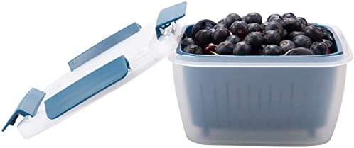 Artendjoon Berry Keeper Box sa cjedilom za frižider, Čuvajte bobicu svježom 15 dana, frižider proizvodi spremljene