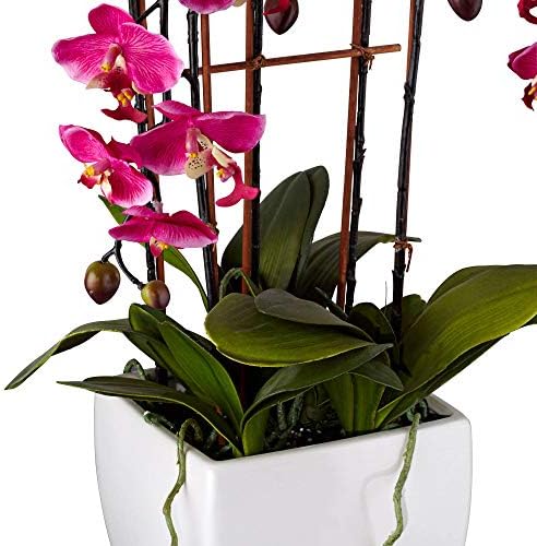 Dahlia Studios Breted Silk Faux ARCEMES ARCORMENTION Realistic Purple Fuchsia Orhideja u Bijeli keramički