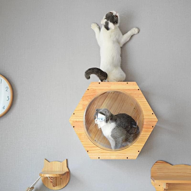 WYFDP heksagonalna kuća za mačke s platformom za skakanje za kućne ljubimce Odgajivačnice za kućne
