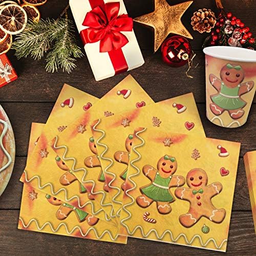 HIPEEWO Božić papir ploče i salvete - Božić Dinnerware Set za svečani odmor Božić stranka, dječak i djevojka