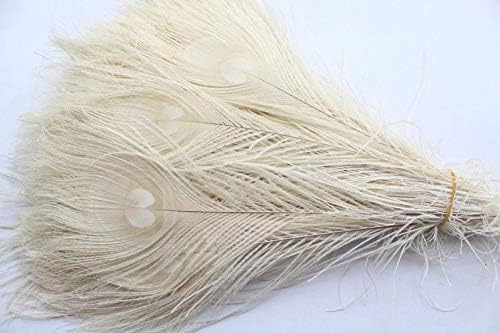 Pumcraft DIY nakit 50 kom / prirodno Bijelo paunovo perje u oku, 10 do 12 inča ukrasa za svadbene