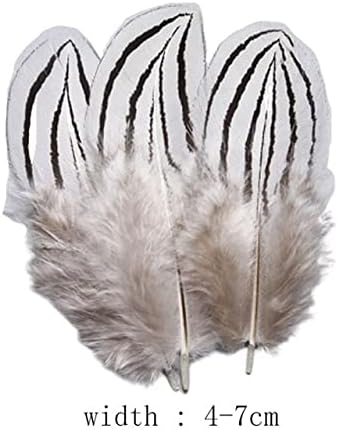 100kom mali fazan perje Hair Craft Plume prirodni DIY perje nakit Izrada ukrasa za svadbene zabave Plumas-100