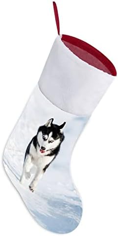 Snow Husky personalizirani božićni čarapa Početna Xmas Tree Kamin Viseći ukrasi