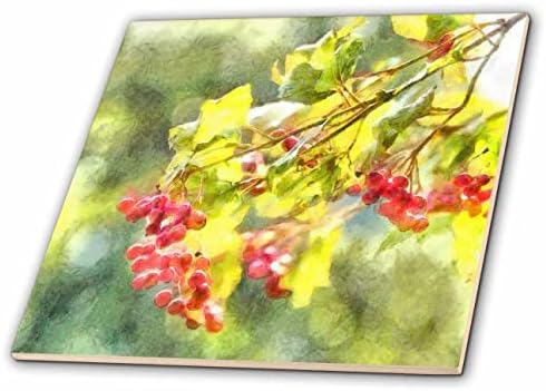 3drose šareno zimsko voće akvarel-Tiles