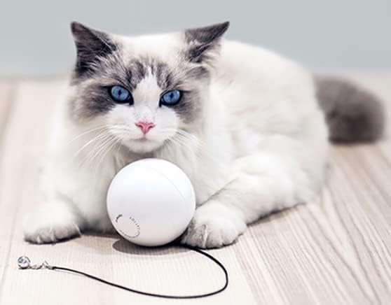 Smart kompatibilan sa automatskim interaktivnim kompatibilnim sa igračkom za mačke kompatibilnom sa loptom
