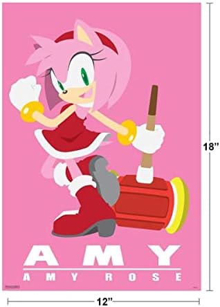 Piramida Amerika Sonic jež Amy Rose Sega Video igre Gaming Cool zid dekor Art Print Poster 12x18
