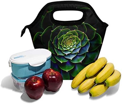 HEOEH priroda lopoč Lotus torba za ručak Cooler tote torba izolovane Zipper kutije za ručak torba