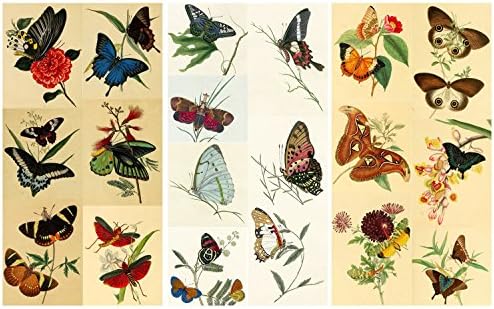 Decoupage Papir Paken Butterfly Redoute Flanz Vintage Ephemera