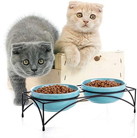 Y Yhy CAT zdjelice uz povišene, zdjele za hranu za hranu, podignute kućne ljubimce za unutarnje mačke