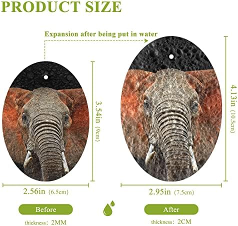 Alaza Afrički slon Natural Spunge Kuhinjski celulozni spužva za posuđe Perilica kupaonica i čišćenje