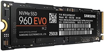 Samsung 960 EVO serija-250GB PCIe NVMe-M. 2 interni SSD