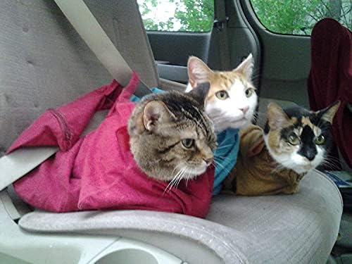 Mačka u torbi udoban comfort Carrier X-velika torba za mačke na drveni ugalj za kućne ljubimce za njegu, posjete
