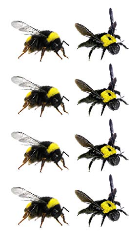 SanlerLian Bee Insect Privremena tetovaža naljepnica LadyBug crtani lažni crtani dječaci Dječji dječji ručni