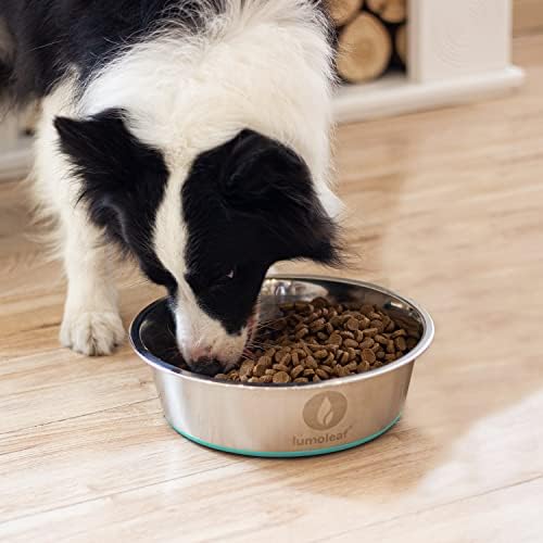 LumoLeaf velike posude za pse od nerđajućeg čelika i posude za pse sa sporom hranilicom.