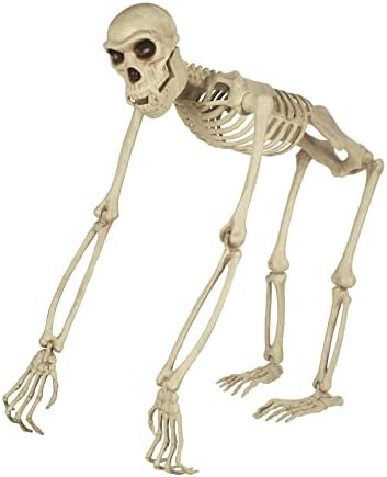 Ludi Bonez mali manjak skeleta