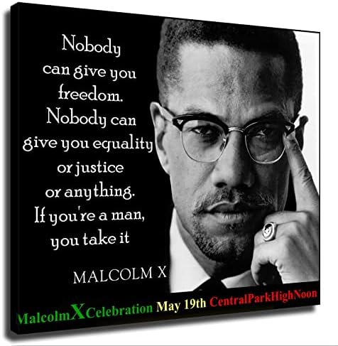 Malcolm X poznati afroamerički aktivista za građanska prava plakat Dekorativno slikarstvo pozadina zid HD slika