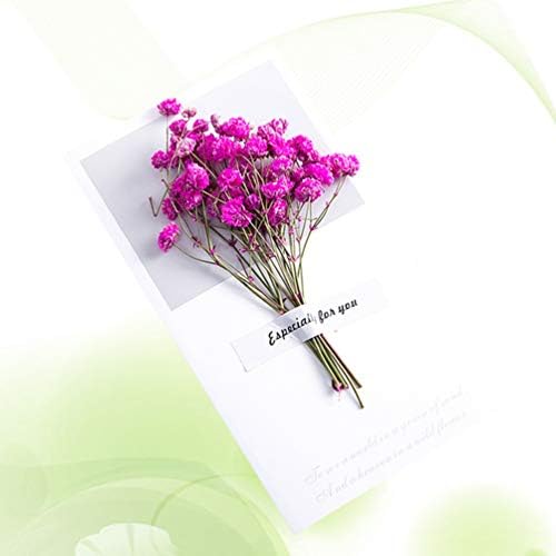 Tomaibaby 6pcs Cvijeće pozivnice čestitke čestitke DIY sušeni cvijet za Dan zaljubljenih majčina