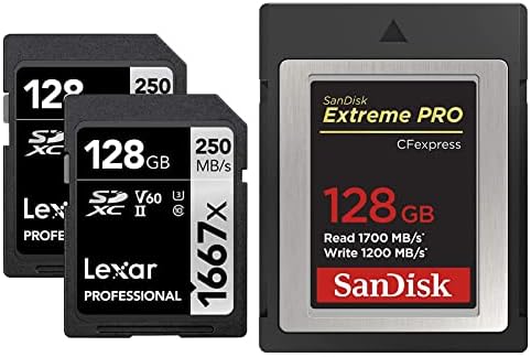 Lexar Professional 1667x 128GB SDXC UHS-II kartice, do 250MB / e čitati, za profesionalne fotograf,