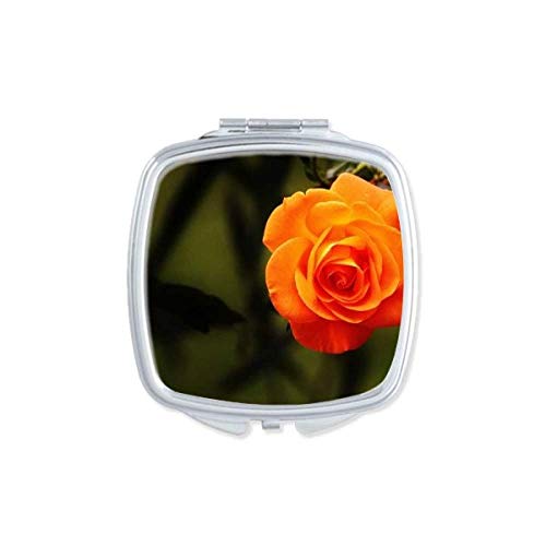 Narandžasto Tamno Zeleno Lišće Ogledalo Za Cvijeće Prijenosni Kompaktni Džepni Šminka Dvostrano Staklo