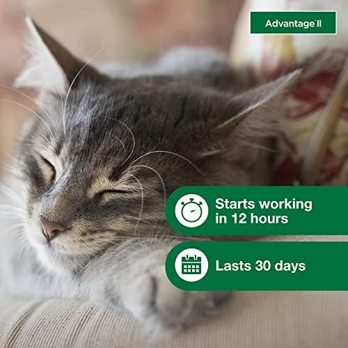 Advantage II mala mačka Vet-preporučuje tretman protiv buva & prevencija | mačke 5-9 lbs. / 6-Mjesečna Ponuda