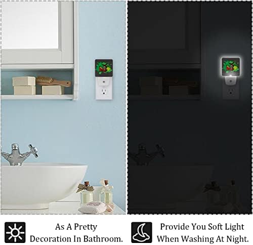 RODAILYCAY LED automatska Senzorska lampa od sumraka do zore, 2 paketa Plug-in noćno svjetlo za kupatilo, spavaću sobu, dečiju sobu, hodnik, stepenice, rasadnik, kuhinja magarac