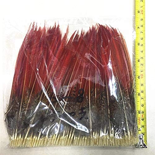 Zamihalaa Zlatni fazan crveni vrhovi labavo pero 5~30cm / 2-12inch crveni mač perje za zanate nakit Izrada perja
