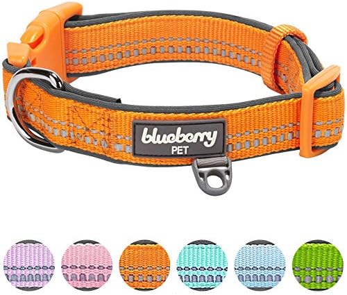 Blueberry Pet meka & Siguran 3m reflektivni neopren podstavljeni podesivi pas ovratnik - Narančina