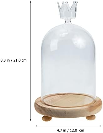FIMIYES Clear Glass Dome Cloche sa drvenim bazom Antique Bell Jar Prikaz kupola Zaslon Succilents