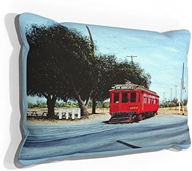 Los Angeles električna kolica Umjetna antilop Sofa jastuk za bacanje od crteža i slikanja umjetnika Mikea Bennetta
