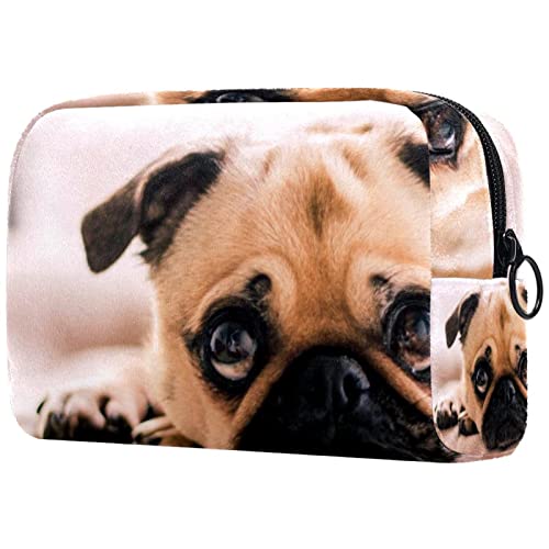 Toaletna torba Kozmetička putokaz za šminkanje za pranje torbice za pranje sa patentnim zatvaračem za pse