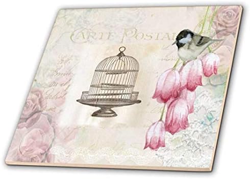 3drose slika Francuske razglednice sa cvećem i starim kavezom za ptice-keramička pločica, 4-inč