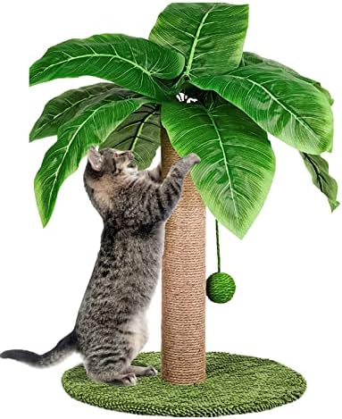 BNOSDM mala mačka grebanje Poruke za zatvorene mačke kokosovo drvo Sisal užad kandža Scratchers viseća