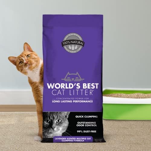 Najbolji svjetski NOSILJ za mačke s više mačjih mirisa lavande od 15 funti
