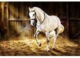 LFEEY 7x5ft Western Photography Backdrops Countryside West cowboy Horse in the Stable Photo Background