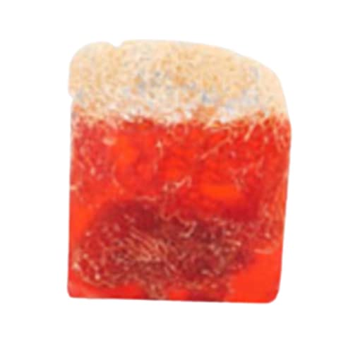 SoapNatural-prirodna Loofah sapun Bar osvježavajući piling kože piling sapun sa Lufom unutra | ekološki, hidratantni,za