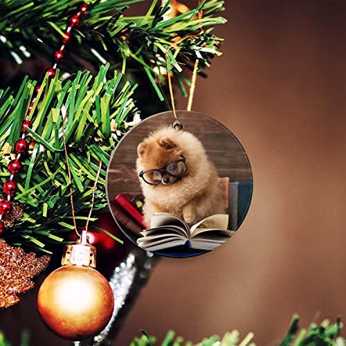 Slatki Božićni ukrasi,smiješni Božićni Ornament, 3 inča uspomena za prijatelje, mačka čita knjigu