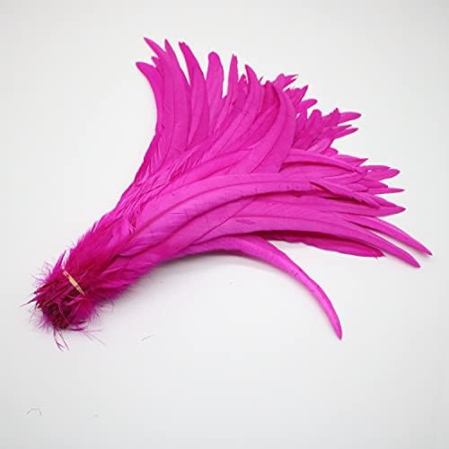 Pumcraft Feather for Craft 100pcs/lot Rooster rep Feather for DIY Headwear Chicken pero prirodno perje za zanat - 100pcs