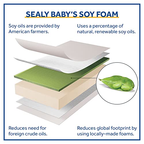 Sealy Soybean Dreams antibakterijski 2-stepen dvostruke čvrstine vodootporan Standard toddler & amp; dušek za dječje krevetiće i zaštita od mrlja vodootporni ugrađeni jastuk za dušek za krevetić