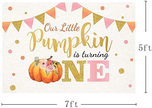 MEHOFOTO little Pumpkin one Birthday Party Photo Background Banner jesen jesen naša mala bundeva djevojka sretan