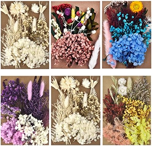 Dalaran 6Pack sušeno cvijeće za svijeće za pravljenje diy prešanog sušenog cvijeća višestruko prirodno