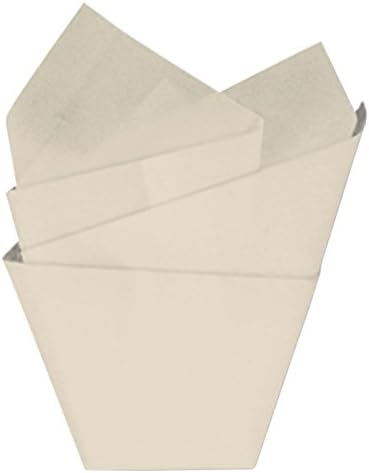 C. R. Gibson papirni papir, uključeno 8 Presavijenih listova, koristi se u poklon vrećicama, zamotati lomljive za školske zanatske projekte i još mnogo toga, svaki list ima dimenzije 20 x 26 - vanilija