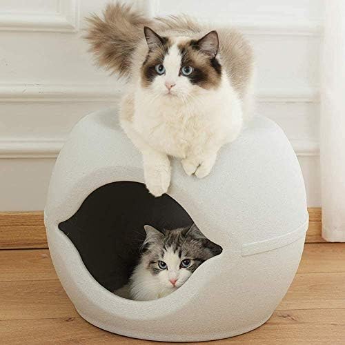 Moderna jednostavnost stolica za mačje gnijezdo za mačke za kućne ljubimce pećina i kućne potrepštine za kućne ljubimce Plastična kuća Bijela, lsxysp