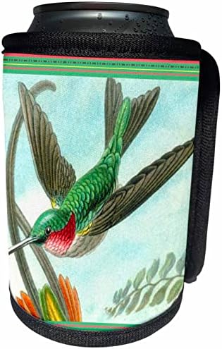 3drose rubin grmljajući hummingbird u letu šarenog vintage. - Može li se hladnije flash omotati