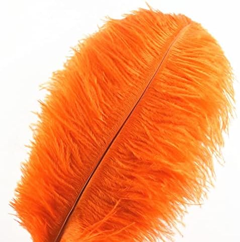 Hard Rod 10 kom prirodna narandžasta nojeva pera za zanate 15-75CM Karneval Party vjenčanje