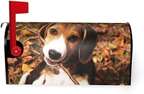 Aseelo Cute Beagle Magnetic Mailbox Cover garden Yard Home Decor za vanjsku standardne veličine-18X 20.8