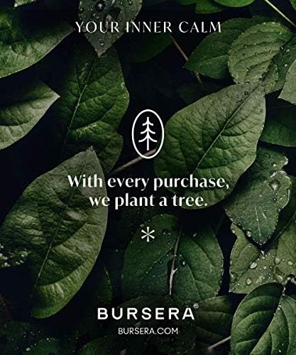 Bursera Blund Collection, set od 3 esencijalne ulje, stablo zasađene sa svakom narudžbom, saldom, mirnim uljem Poklon set za poklon, 3x10ml Prirodni aromaterapijski komplet za difuzore i ovlaživač