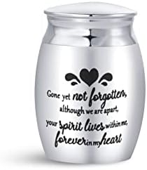 SBI nakit zauvijek srce Mala kremacija urn za pepeo ukrasna boca od nehrđajućeg čelika porodična pepela Memorijal za održavanje