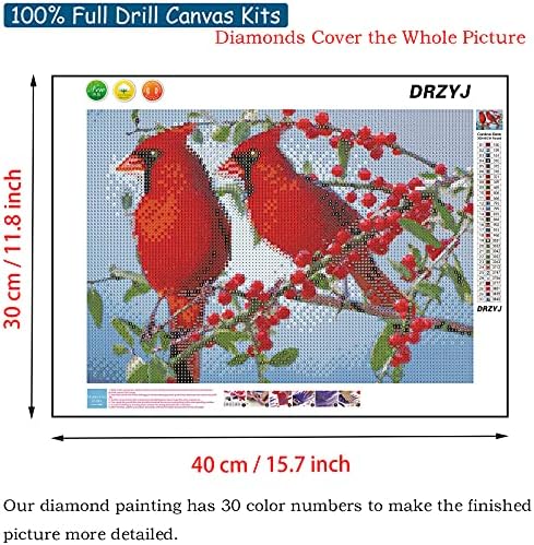 DRZYJ Diamond painting Kits za odrasle, Full Round Drill Cardinal Birds 5D Diamond Painting Kit Crystal