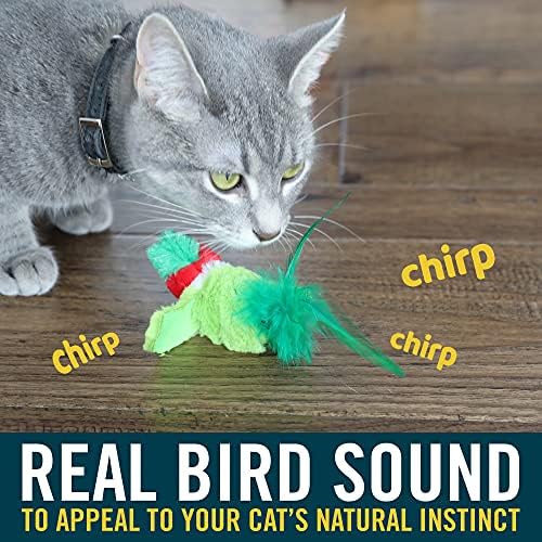 OurPets Play-N-Squeak Real Birds Cat Toys [interaktivne igračke za mačke za mačke u zatvorenom prostoru sa Mačjom travom]
